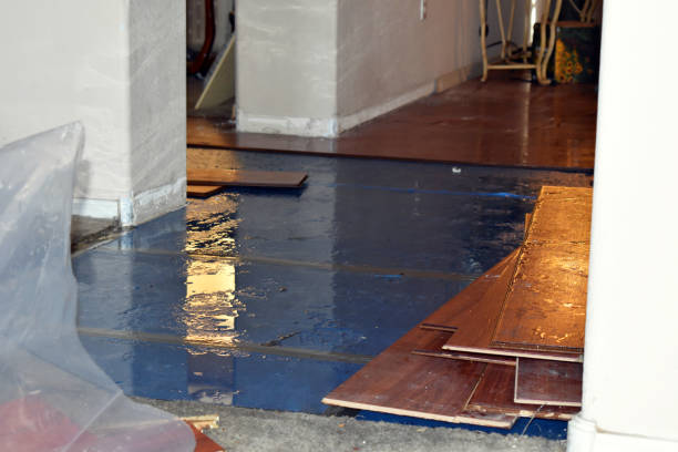 Professional Basement Water Removal technician working in Broadway, NC